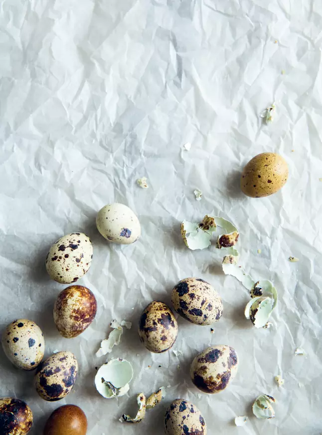 AVOCADO, QUAIL EGGS