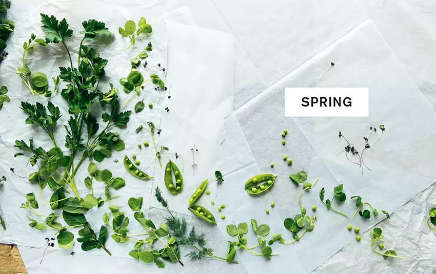 BIG SALAD SPRING
