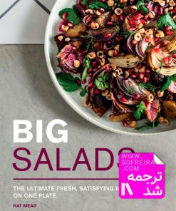 کتاب آموزش تهیه انواع سالاد Big Salad