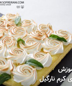 آموزش مجازی پای کرم نارگیل