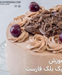 آموزش مجازی بلک فارست