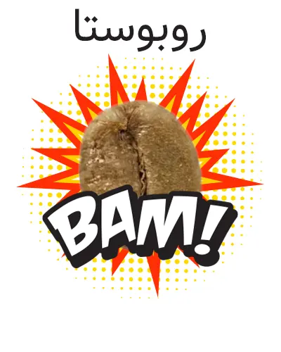 کدام قهوه مناسب من است روبوستا