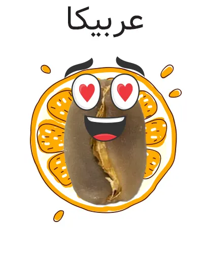 کدام قهوه مناسب من است عربیکا