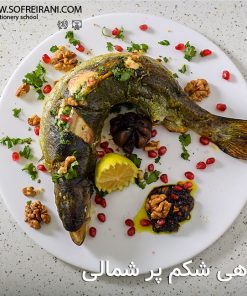 آموزش مجازی ماهی شکم پر شمالی