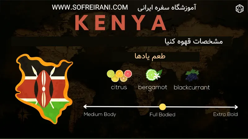 شناخت قهوه کنیا