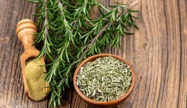 طریقه مصرف رزماری در آشپزی؛ کاربرد رزماری در آشپزی