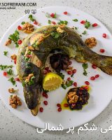 عکس-شاخص-ماهی-شکم-پر-شمال