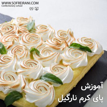 عکس-شاخص-پای-کرم-نارگیل